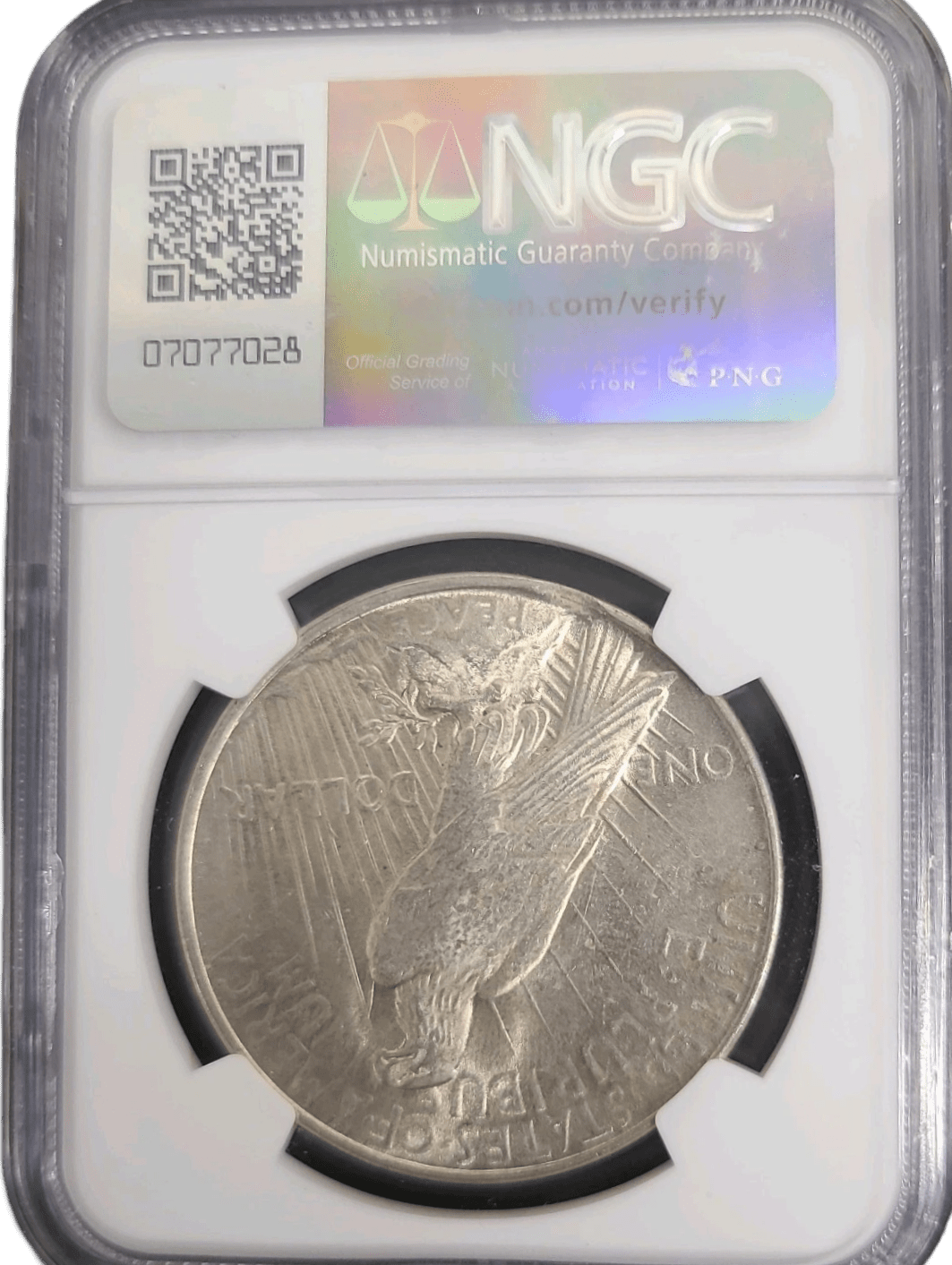 1922-P Peace Silver Dollar NGC MS62 curved clip error reverse with standing eagle
