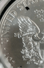 2020 (P) American Silver Eagle MS69 PCGS Struck Thru Rev Emergency Issue – Rare Mint Error Heritage Pastime