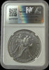2025-W Burnished American Silver Eagle $1 – Advance Releases – MS70 Heritage Pastime