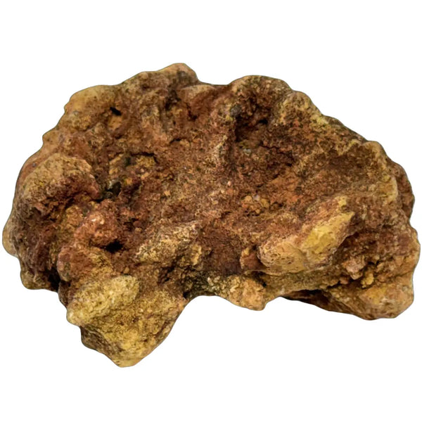 Specimen of richellite, a rare calcium, iron phosphate mineral. It is also identified as a fossilized coprolite (dung), possibly from a turtle or dinosaur. Heritage Pastime
